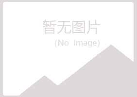 百色夏岚能源有限公司